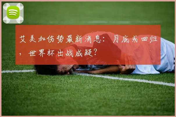 艾美加伤势最新消息：月底或回归，世界杯出战成疑？
